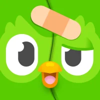 Duolingo: Sprachkurse